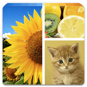 Download Photo Collage Editor for PC/Photo Collage Editor on PC