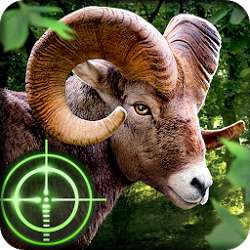 Wild Hunter 3D Android App for PC/Wild Hunter 3D on PC